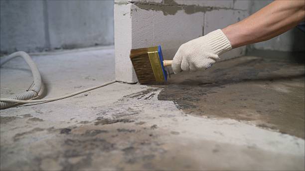 24/7 Emergency Basement Waterproofing experts in Laingsburg, MI